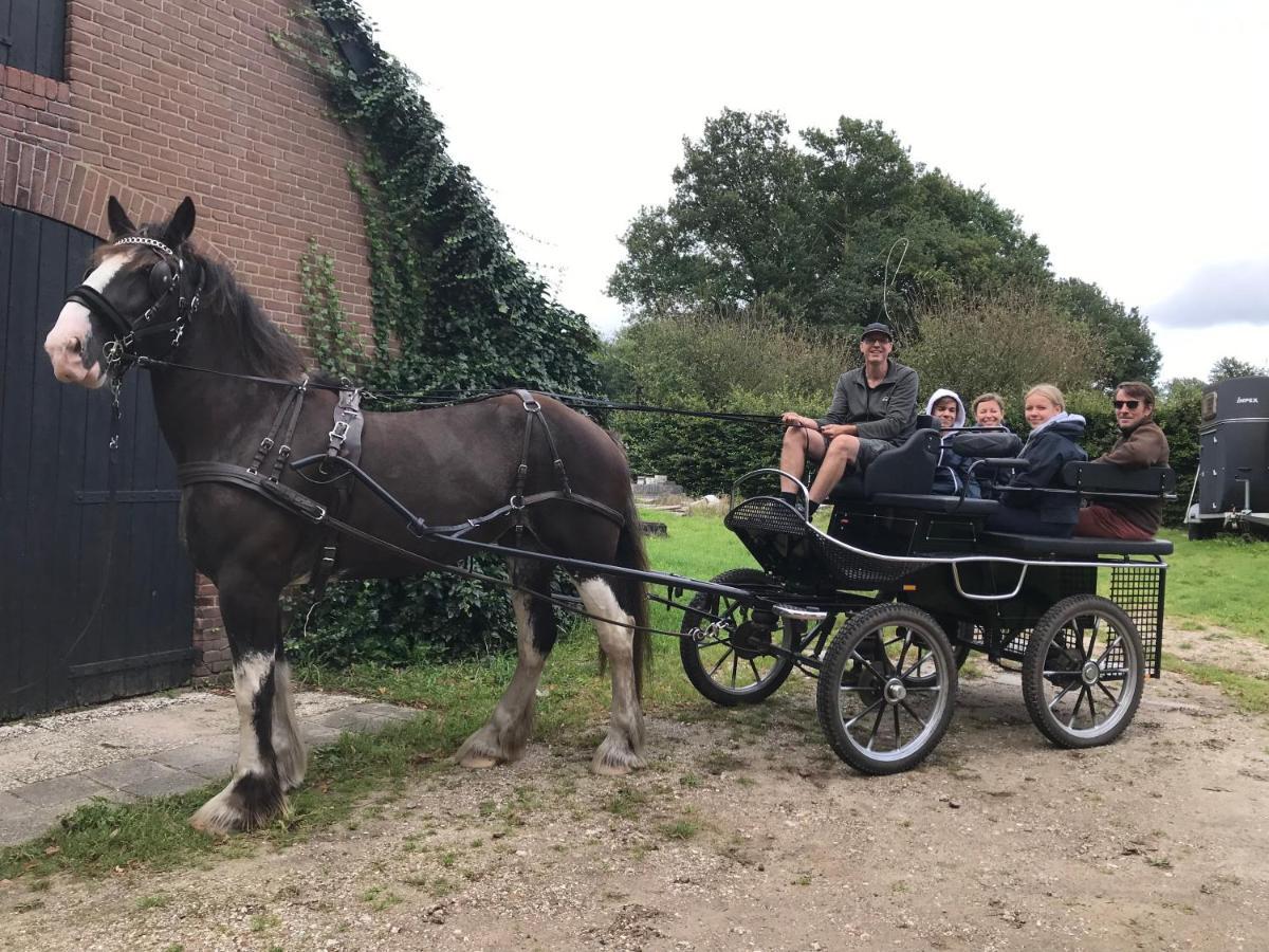 'T Heidepaleis Bed & Breakfast Garderen Bagian luar foto